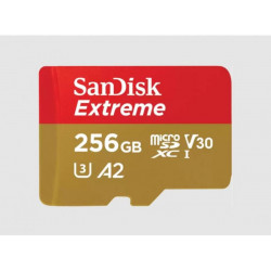 Carte mémoire 256Go MicroSDXC SanDisk Extreme avec adaptateur